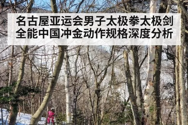 名古屋亚运会男子太极拳太极剑全能中国冲金动作规格深度分析